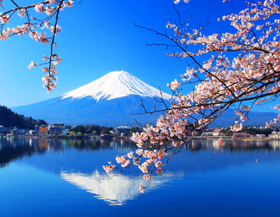 富士春舞櫻 關東超人氣賞櫻 5 日遊
上野公園、橫濱賞櫻、鎌倉大佛