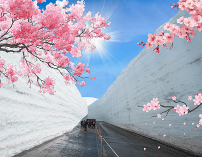 春日雪櫻紀行：立山黑部大雪壁與關西絕景五日